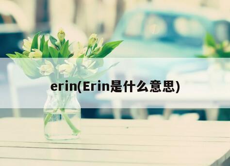 erin(Erin是什么意思)