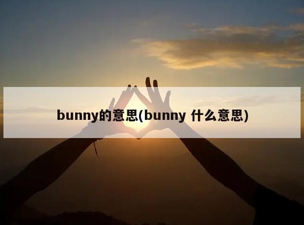 bunny的意思(bunny 什么意思)