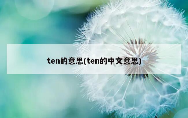 ten的意思(ten的中文意思)